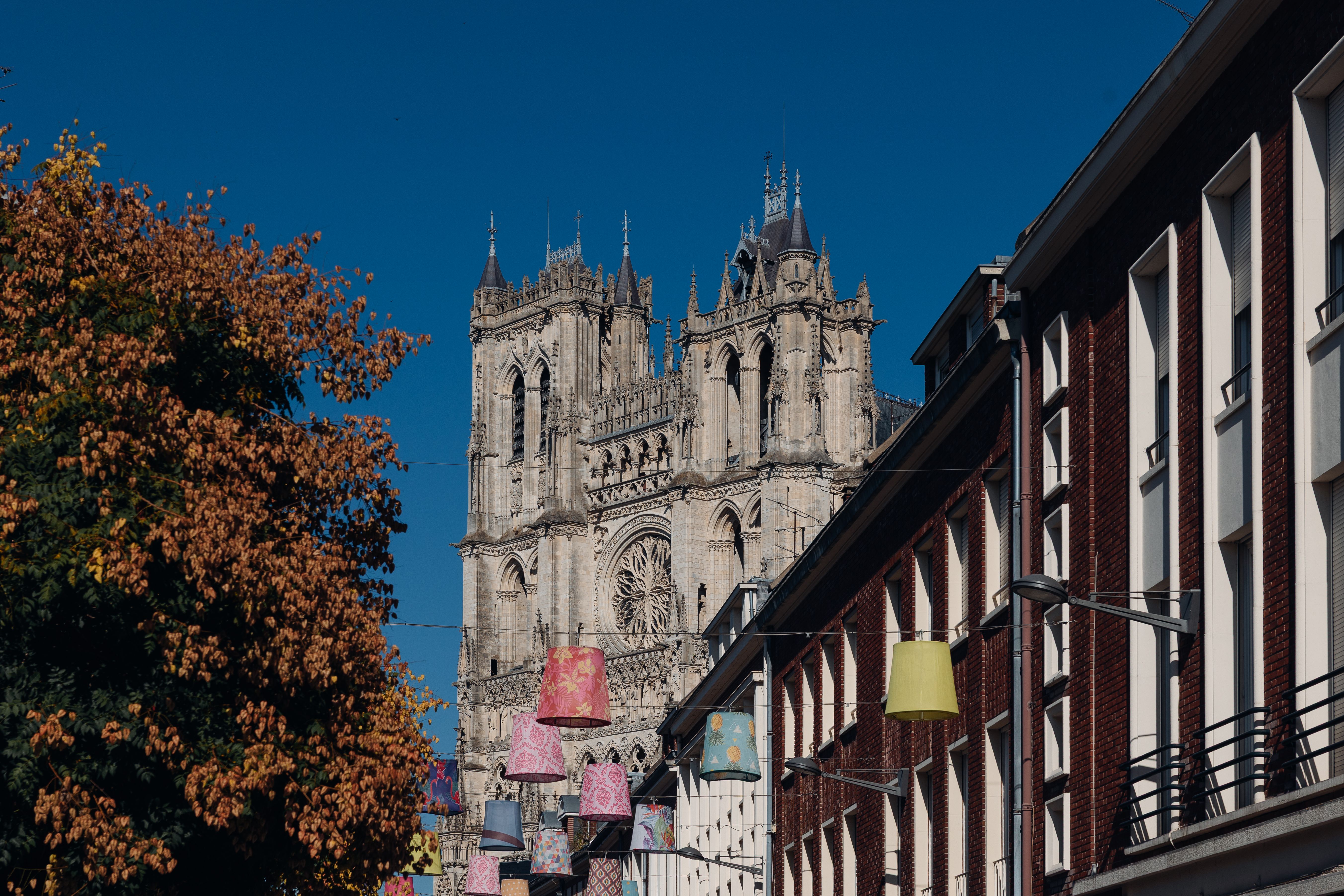 Katedra Notre-Dame d'Amiens