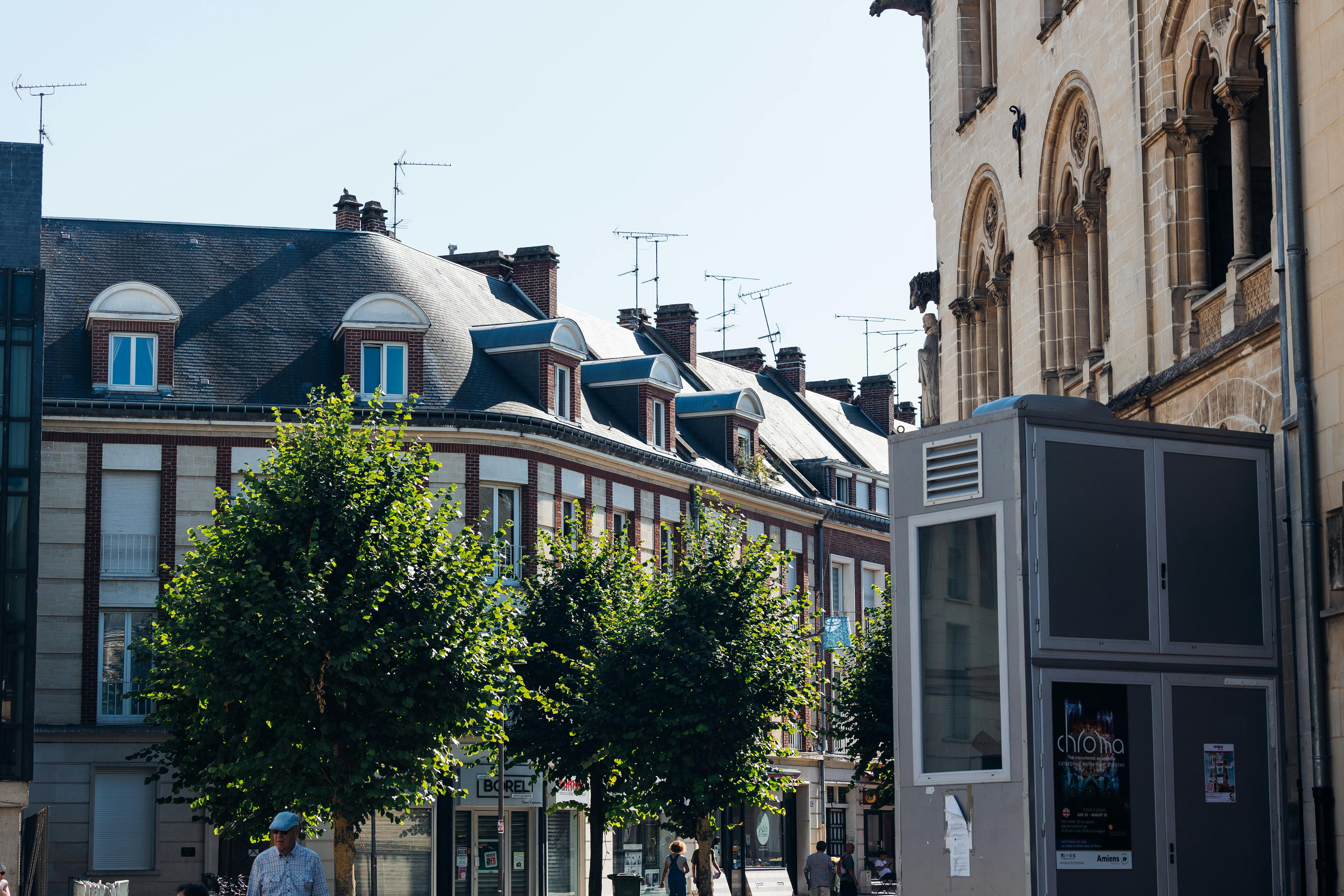 Devis BTP : optimiser la structure, les options et le suivi avec FacturesPro