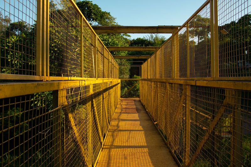 Kakum Canopy Walk