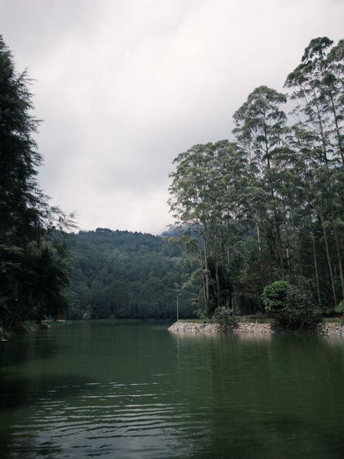 Free Tranquil forest lake with dense trees under a cloudy sky, perfect for nature lovers. Stock Photo