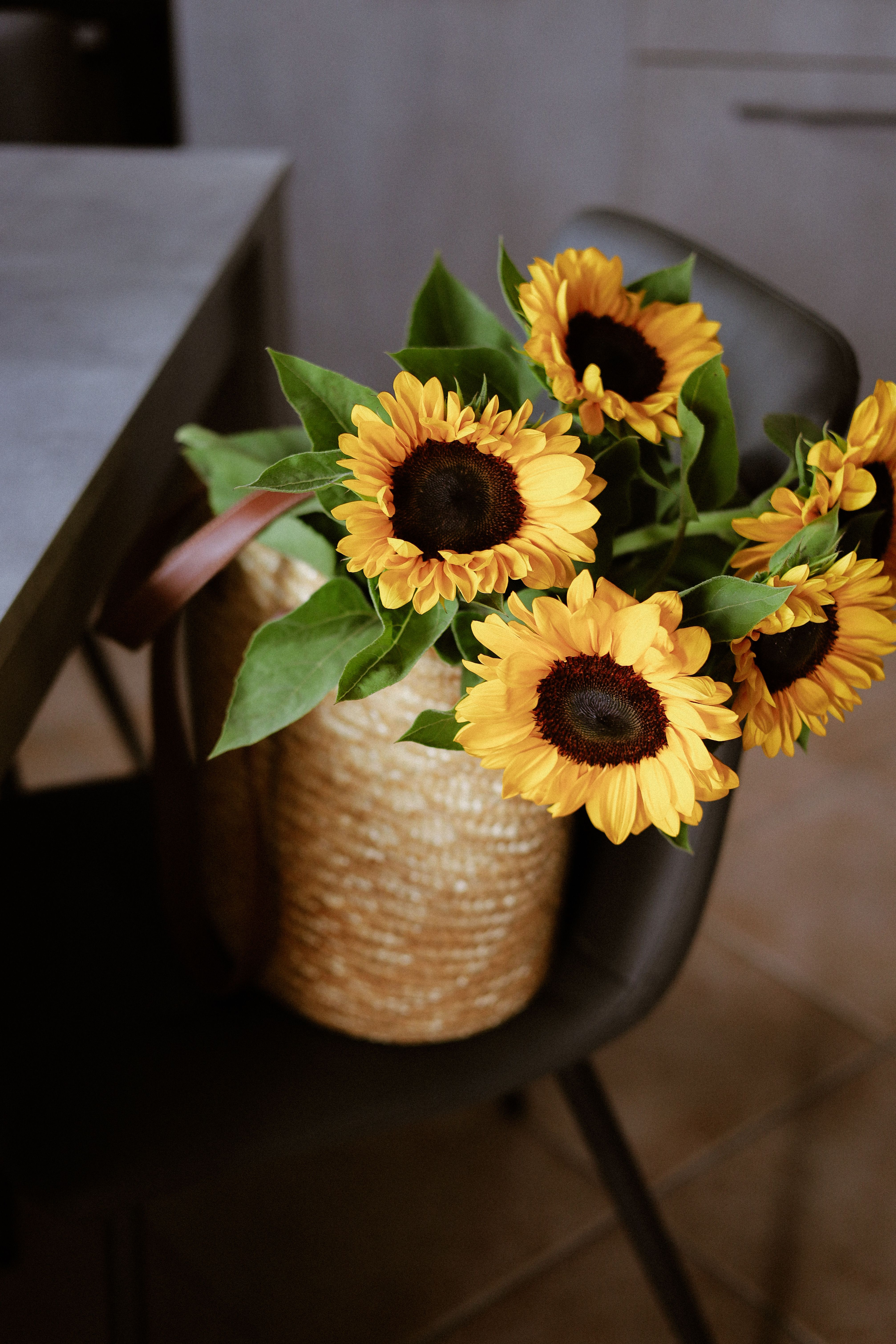 Bright sunflowers in a woven basket on a chair, creating a cozy indoor vibe.