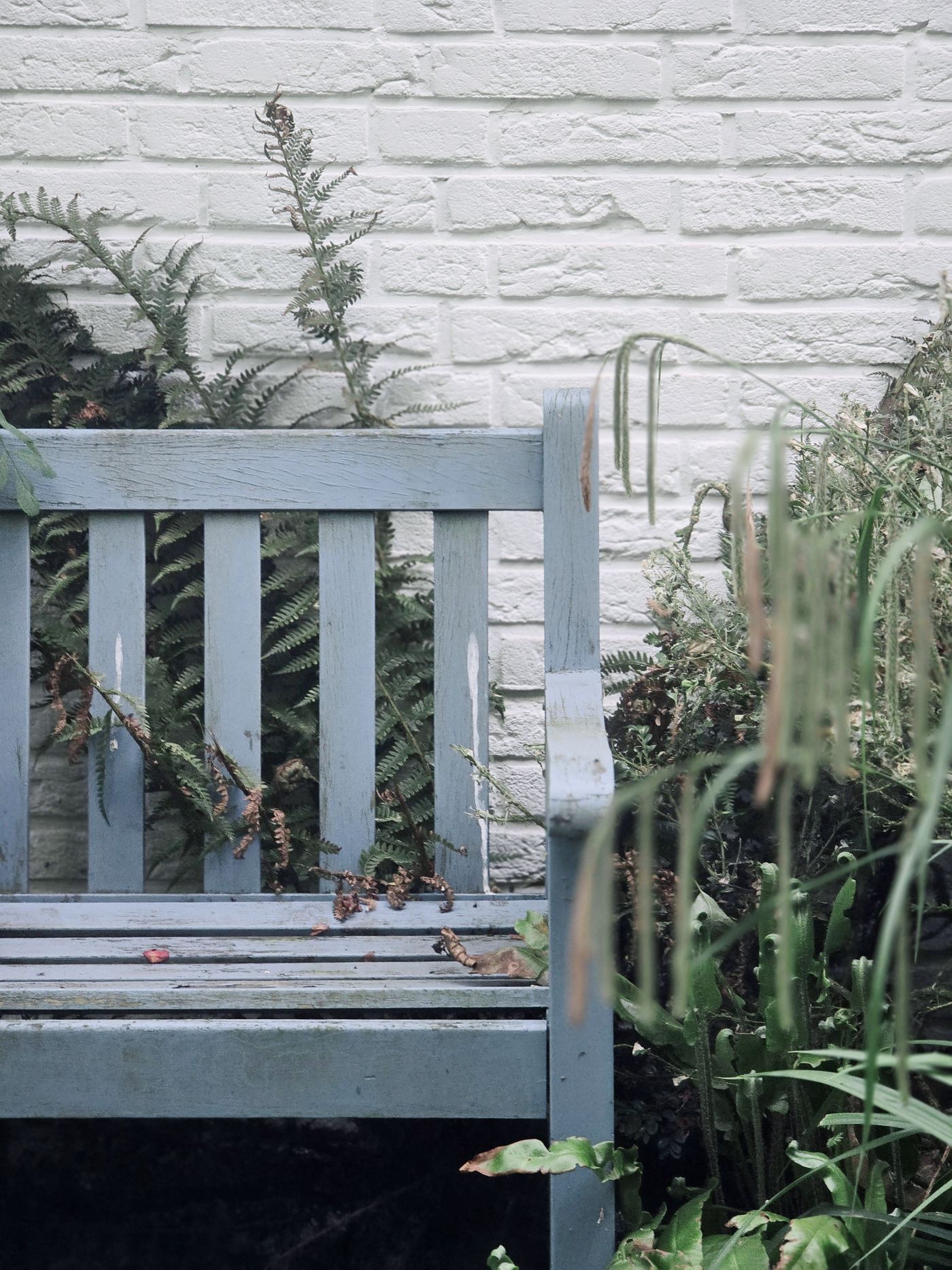 Outdoor bench styled in a leafy garden corner