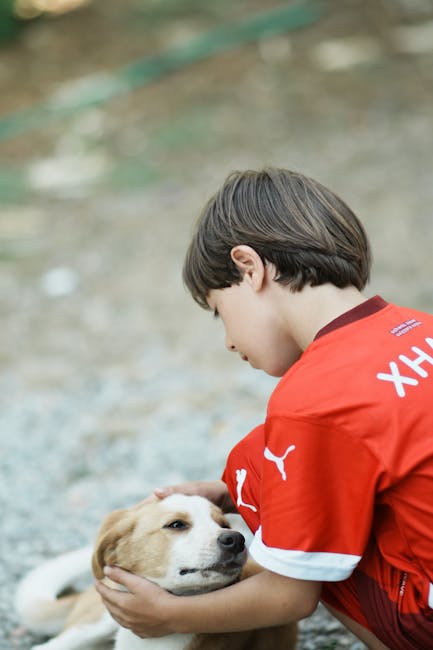 Ways To Express Love And Care In Friendships. 16 Friends-Walking-In-A-Park