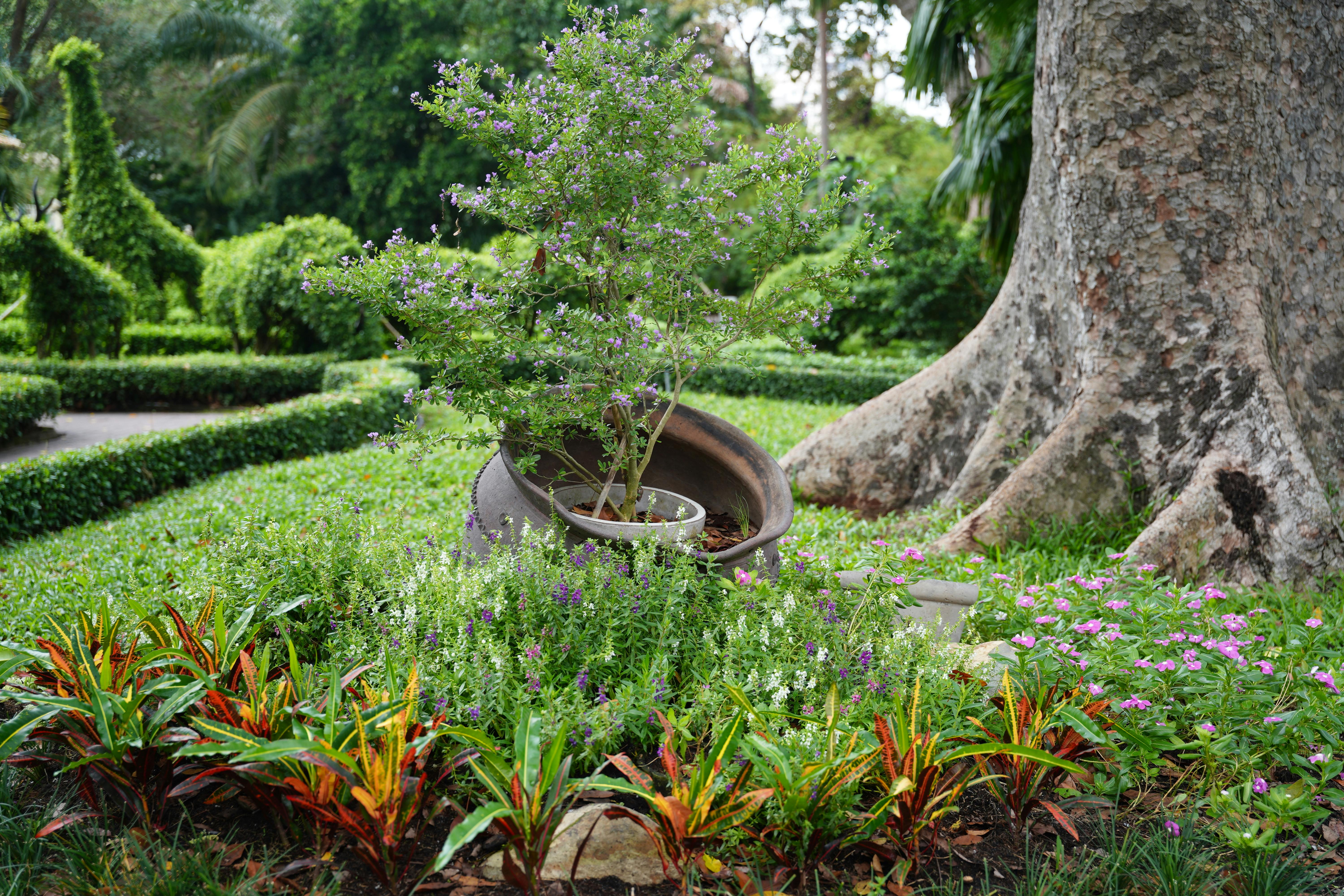 Innovative Outdoor Lighting