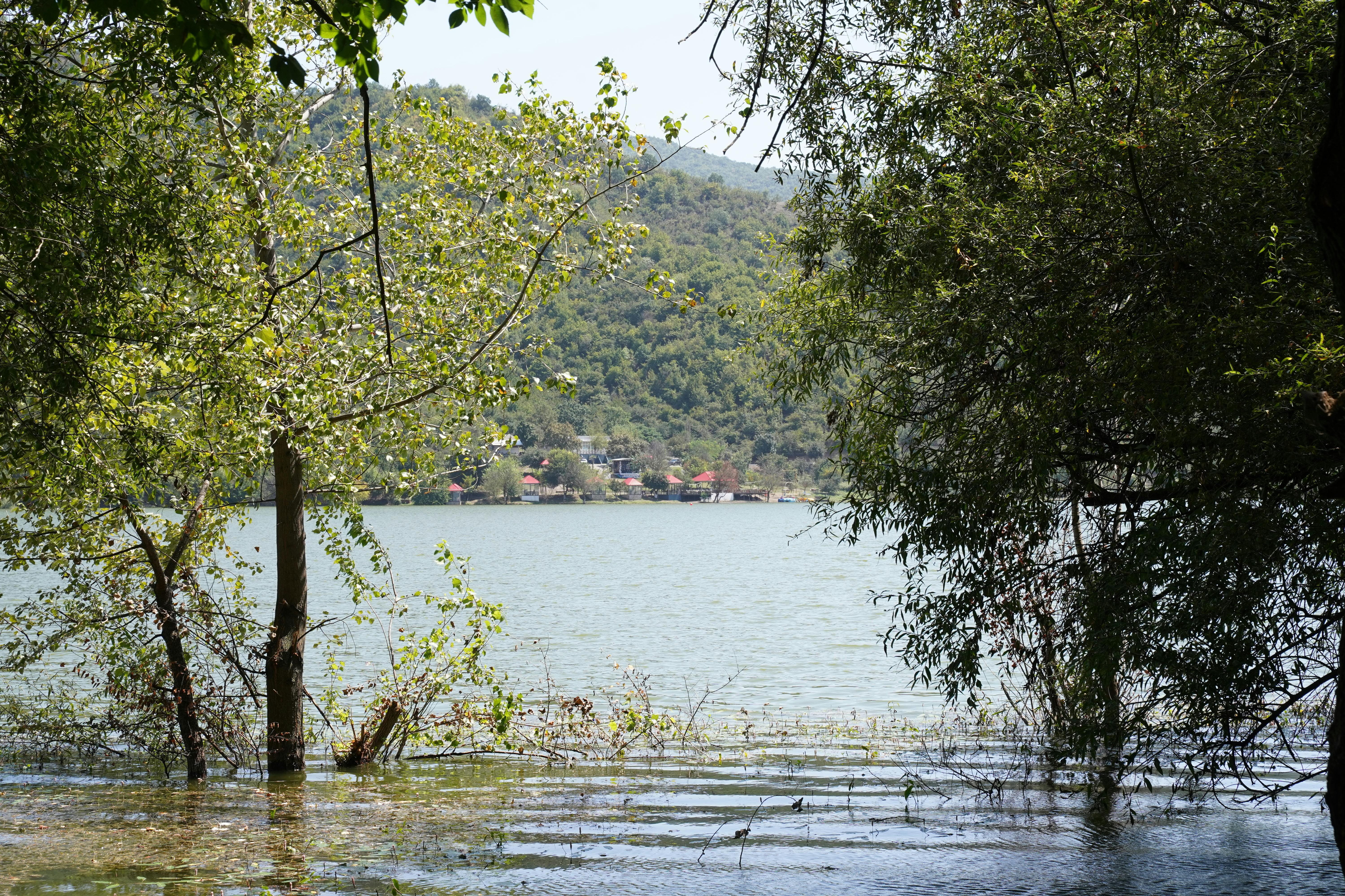 阿里山林鐵入選國際出版社經典鐵道名單