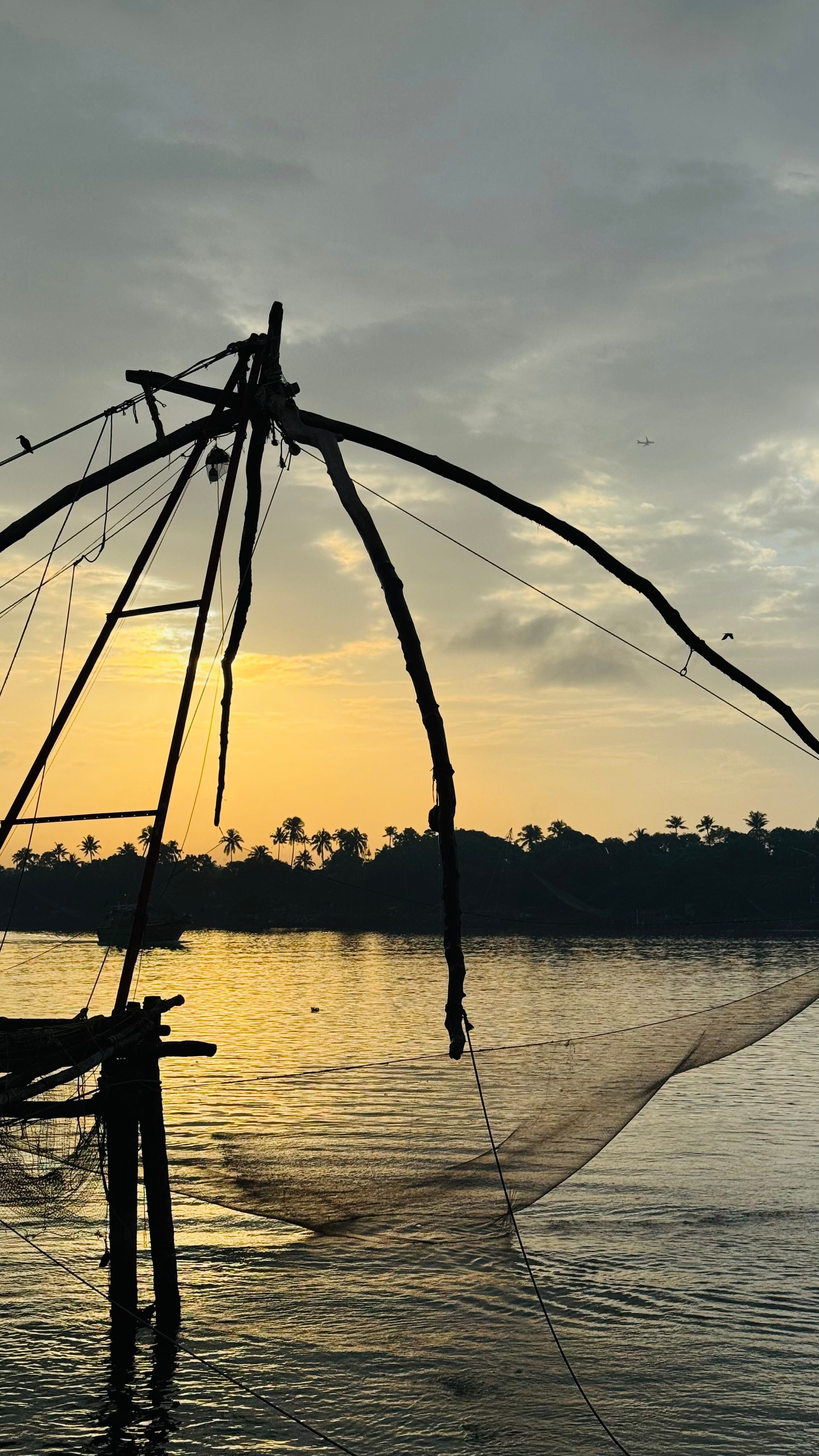 Chinese Fishing Nets