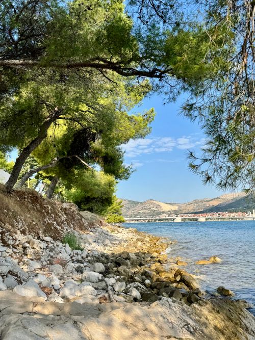 Free Beautiful coastal scene featuring green pines and rocky beach under clear blue sky. Stock Photo