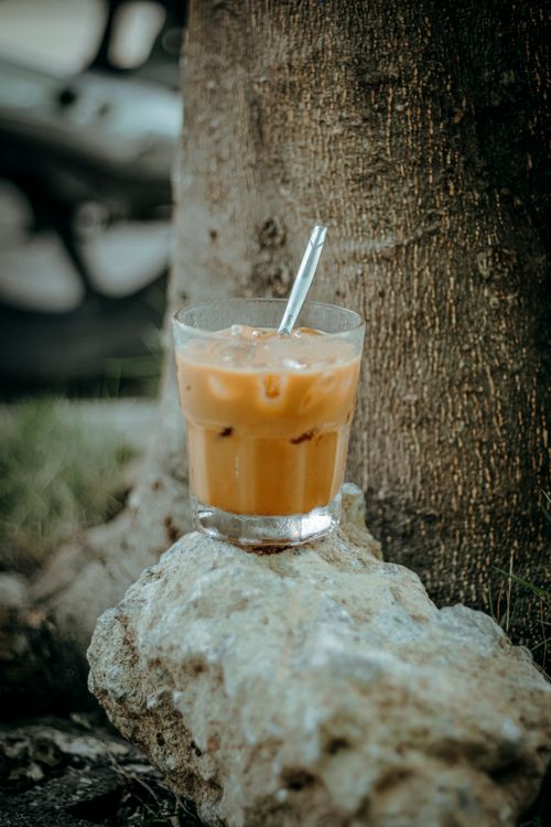 Free Iced coffee in a glass with straw resting on rock by a tree outdoors. Stock Photo