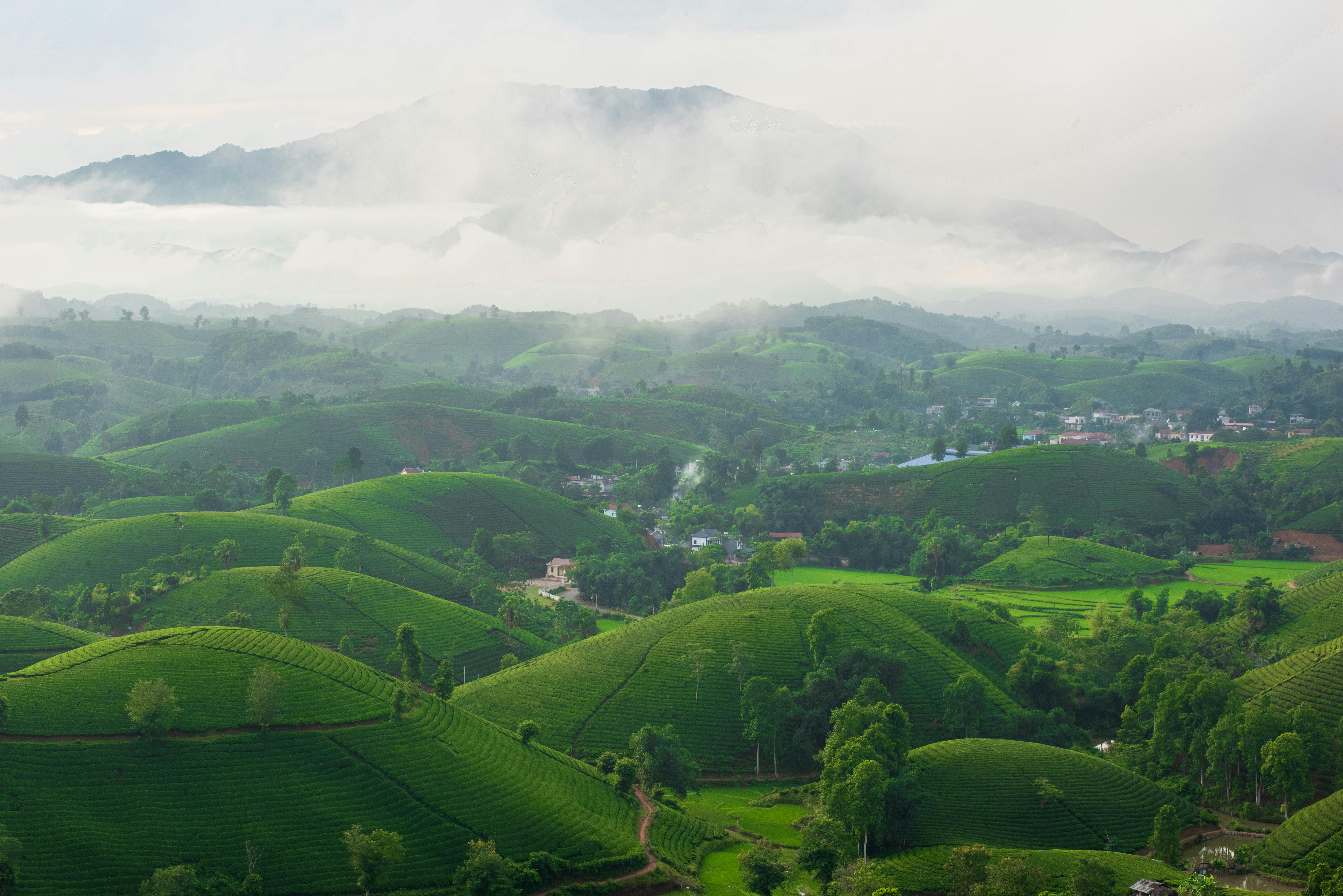 Scenic view of rolling green hills and misty mountains, perfect for nature and travel themes.