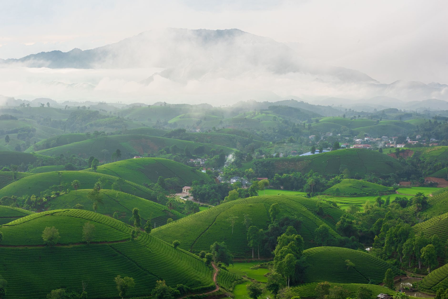 Scenic view of rolling green hills and misty mountains, perfect for nature and travel themes.