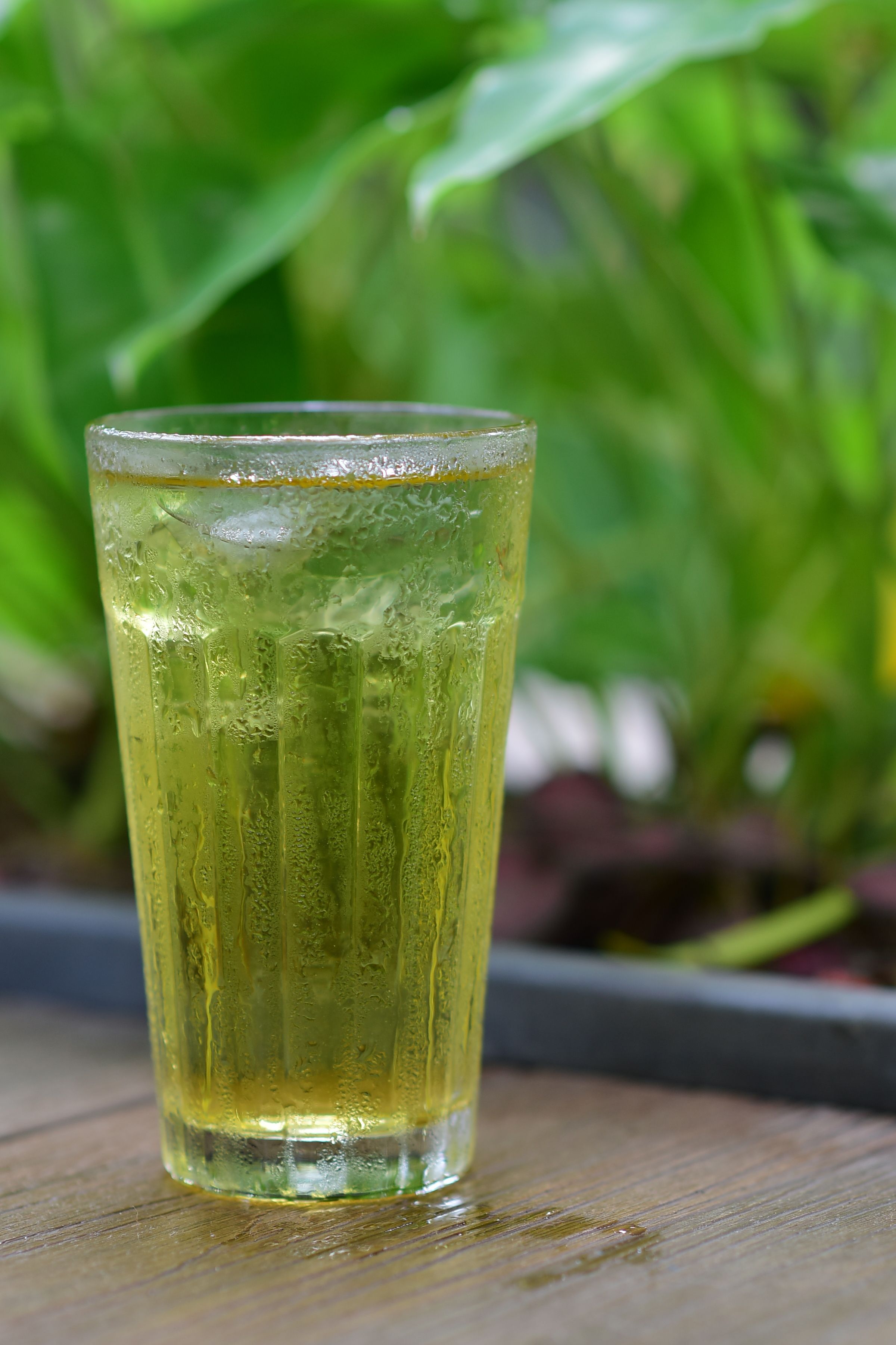 Gratis Un bicchiere di tè verde ghiacciato è appoggiato su un tavolo di legno, circondato da una rigogliosa vegetazione verde. Foto a disposizione