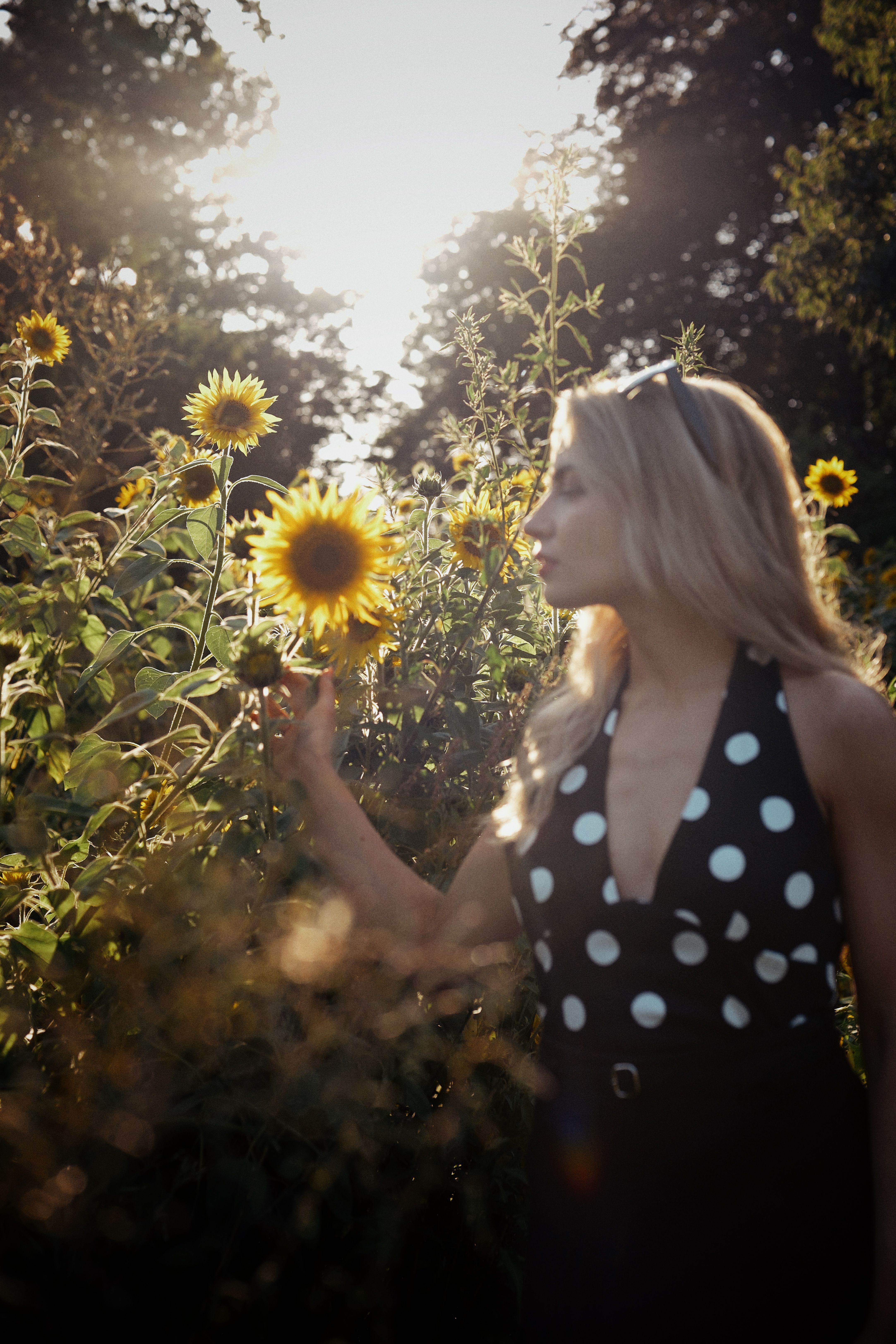 A woman in a polka dot dress enjoys sunlit sunflowers in a garden.