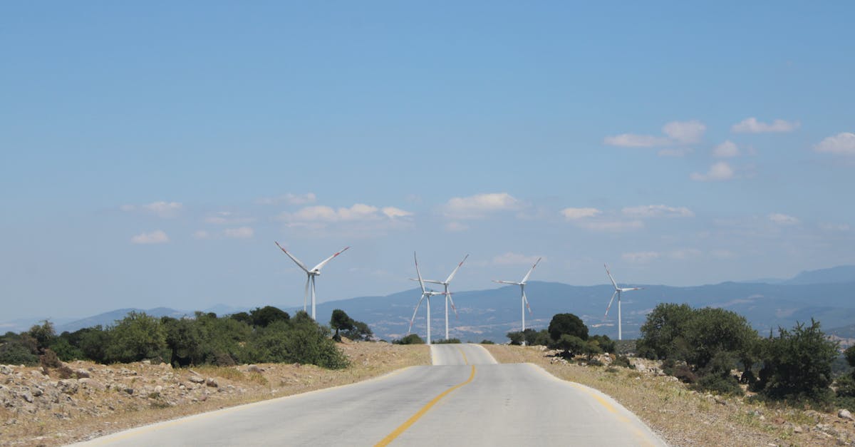 科技翻轉農企業 地瓜葉變茶飲 海藻化身保養品大熱門