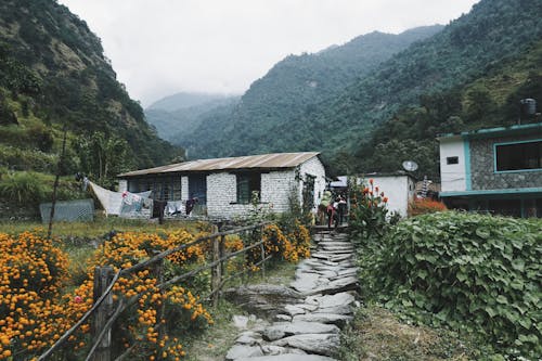 Houses Near Hill