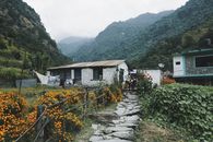 尼泊尔郁郁葱葱的绿色植物和山脉环绕着迷人的乡村家园