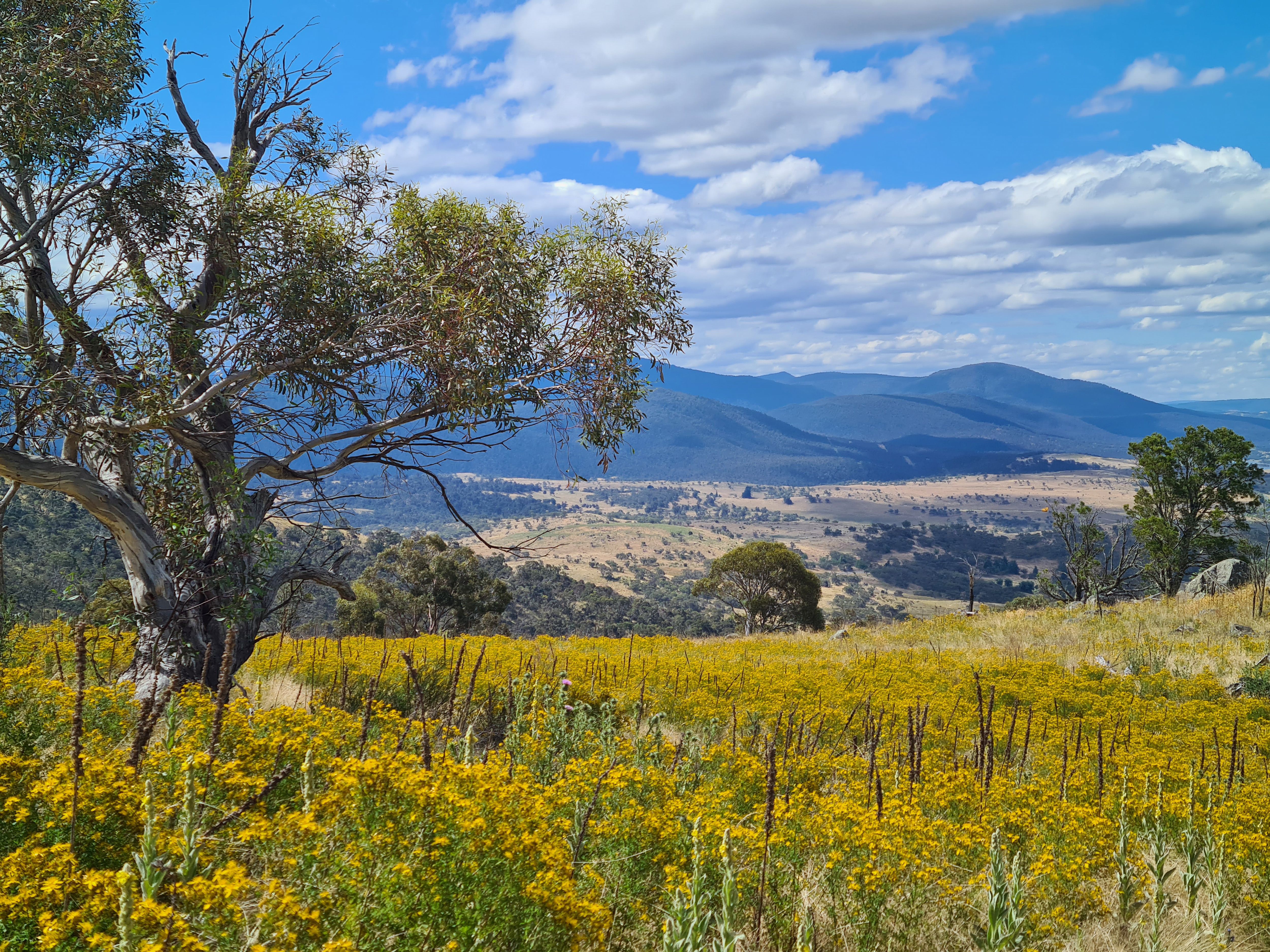 East Jindabyne