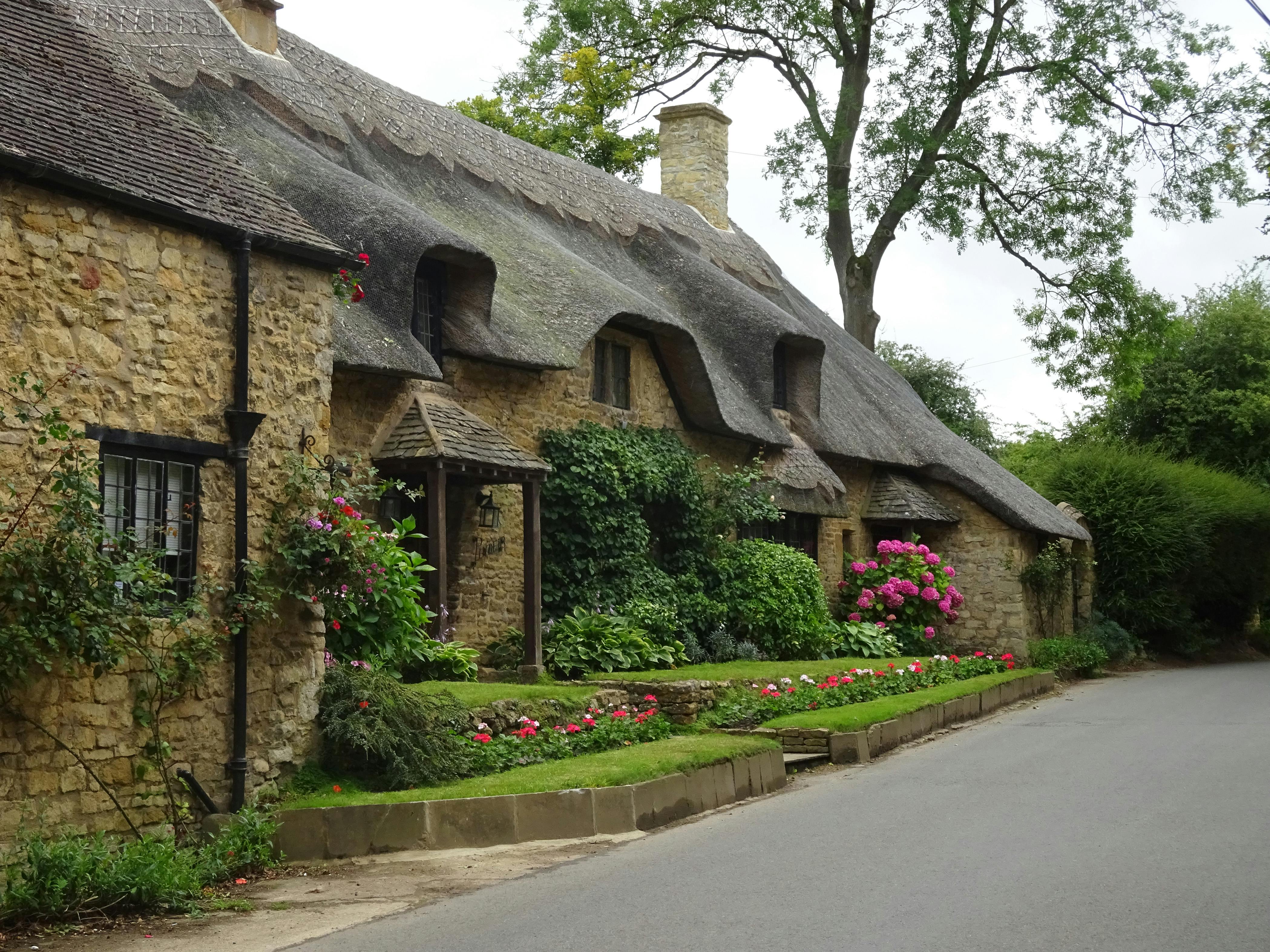 Picturesque English thatched-roof cottage surrounded by lush garden in summer.
