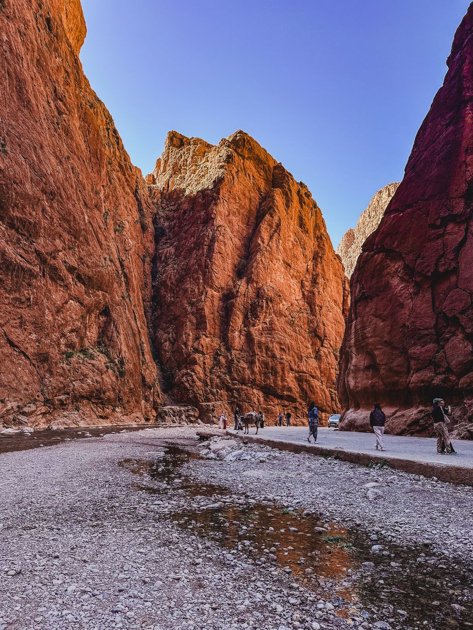 Atlas Mountain Treks