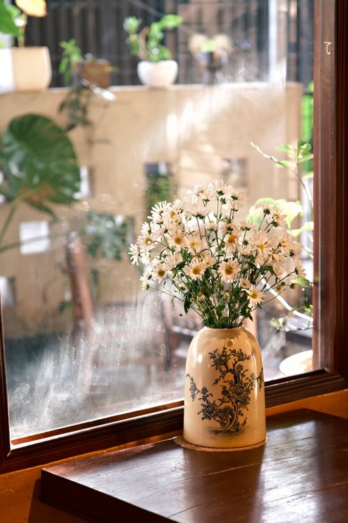 Free Elegant white flowers in decorative vase by sunny window with garden view. Stock Photo