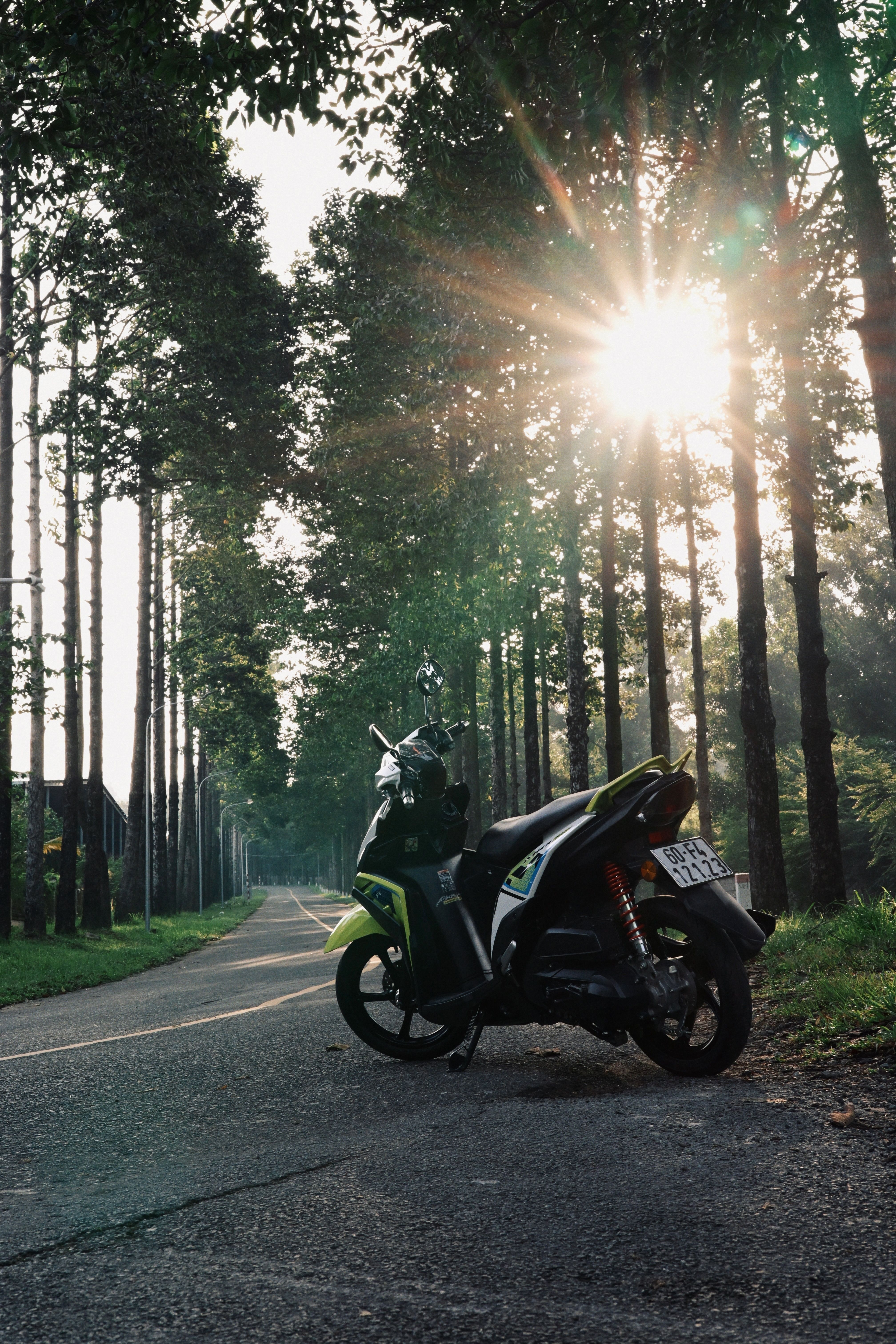 Motorcycle in Sunlit Tree-Lined Pathway · Free Stock Photo