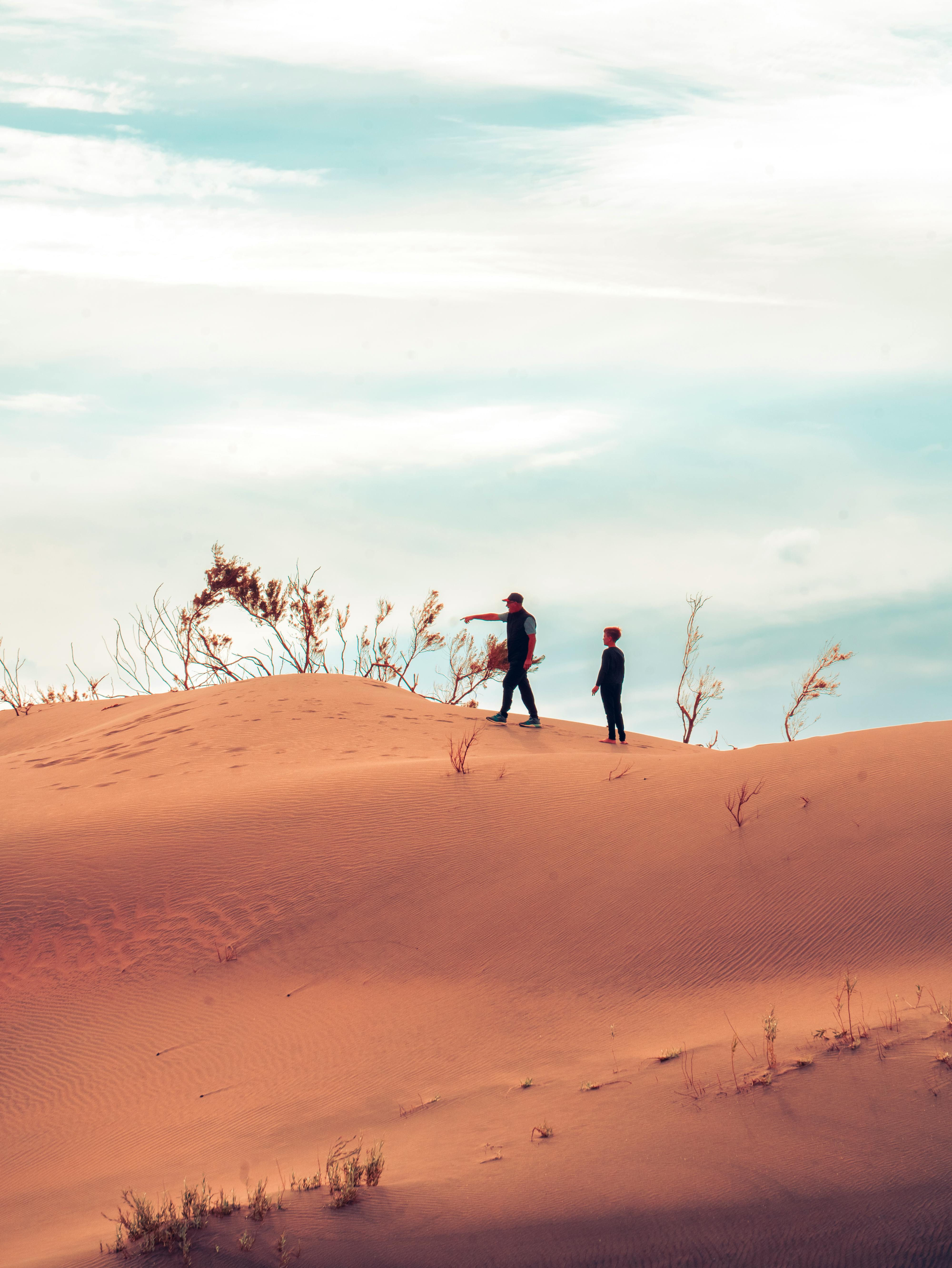 How cities prepare for more intense heat waves