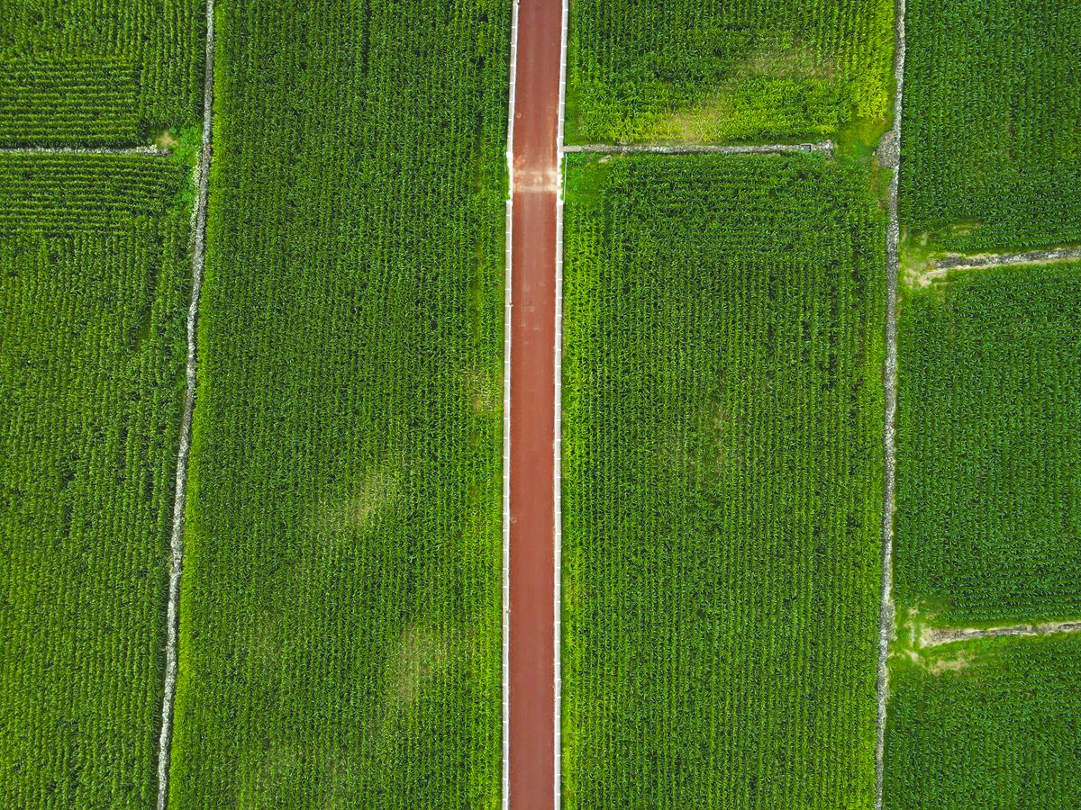 Aerial View of Green Fields and Road in Hangzhou · Free Stock Photo