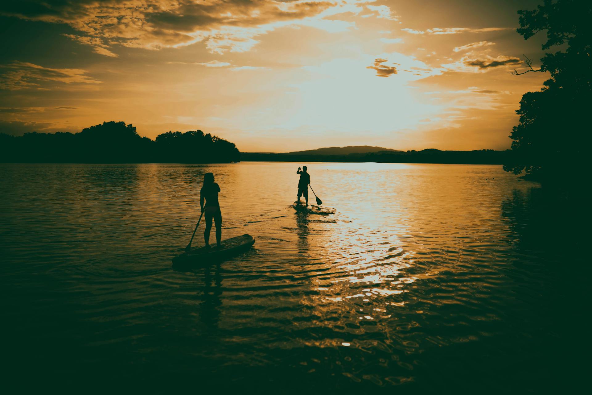 Silhouettes of people paddleboarding on a calm lake during a golden sunset.