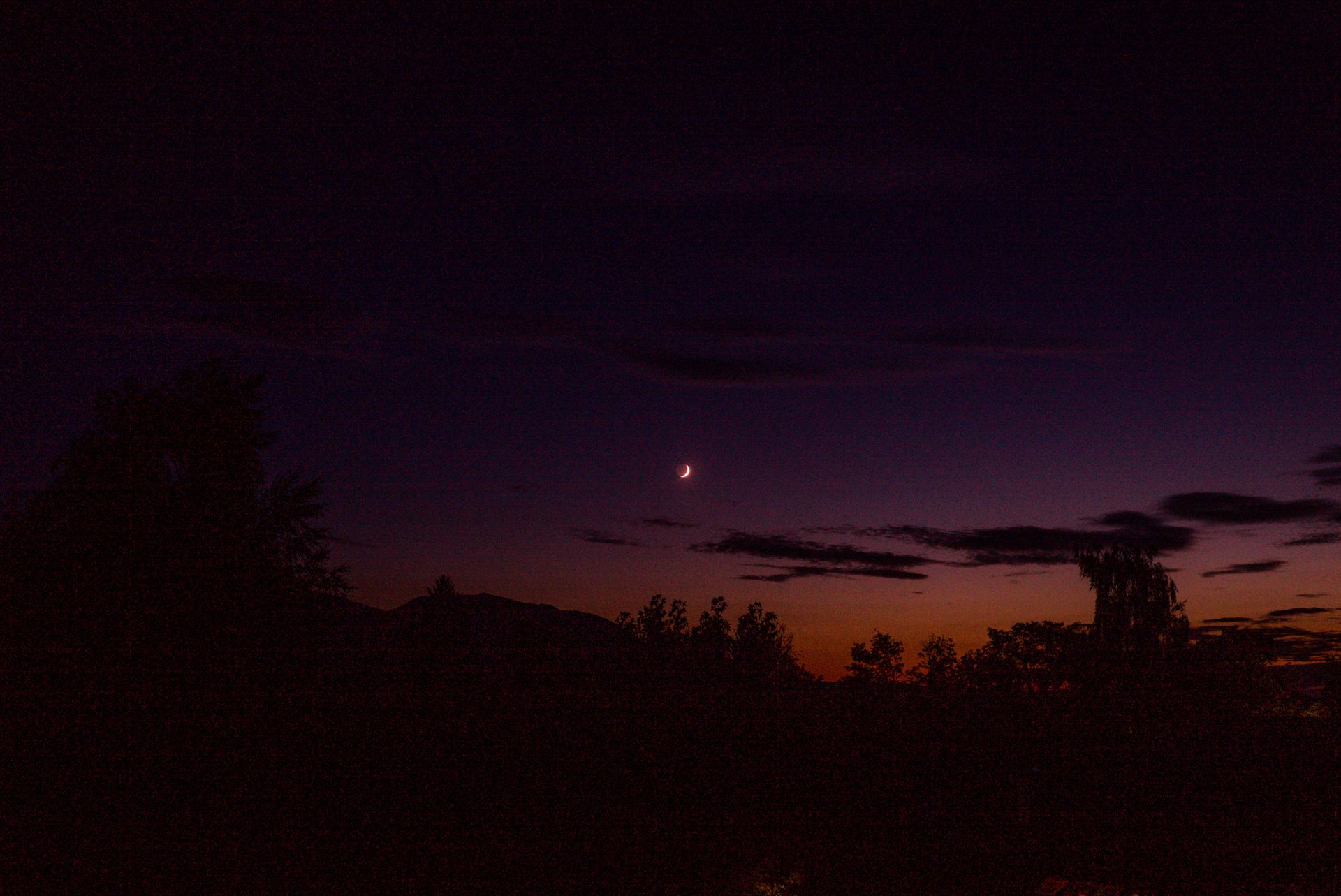 Peaceful night sky featuring a crescent moon and silhouetted trees at twilight.