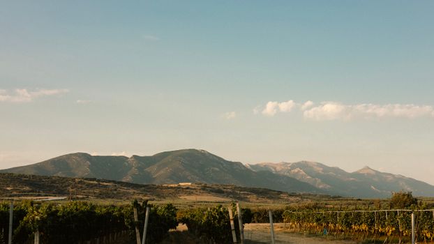 Naoussa, City in Greece