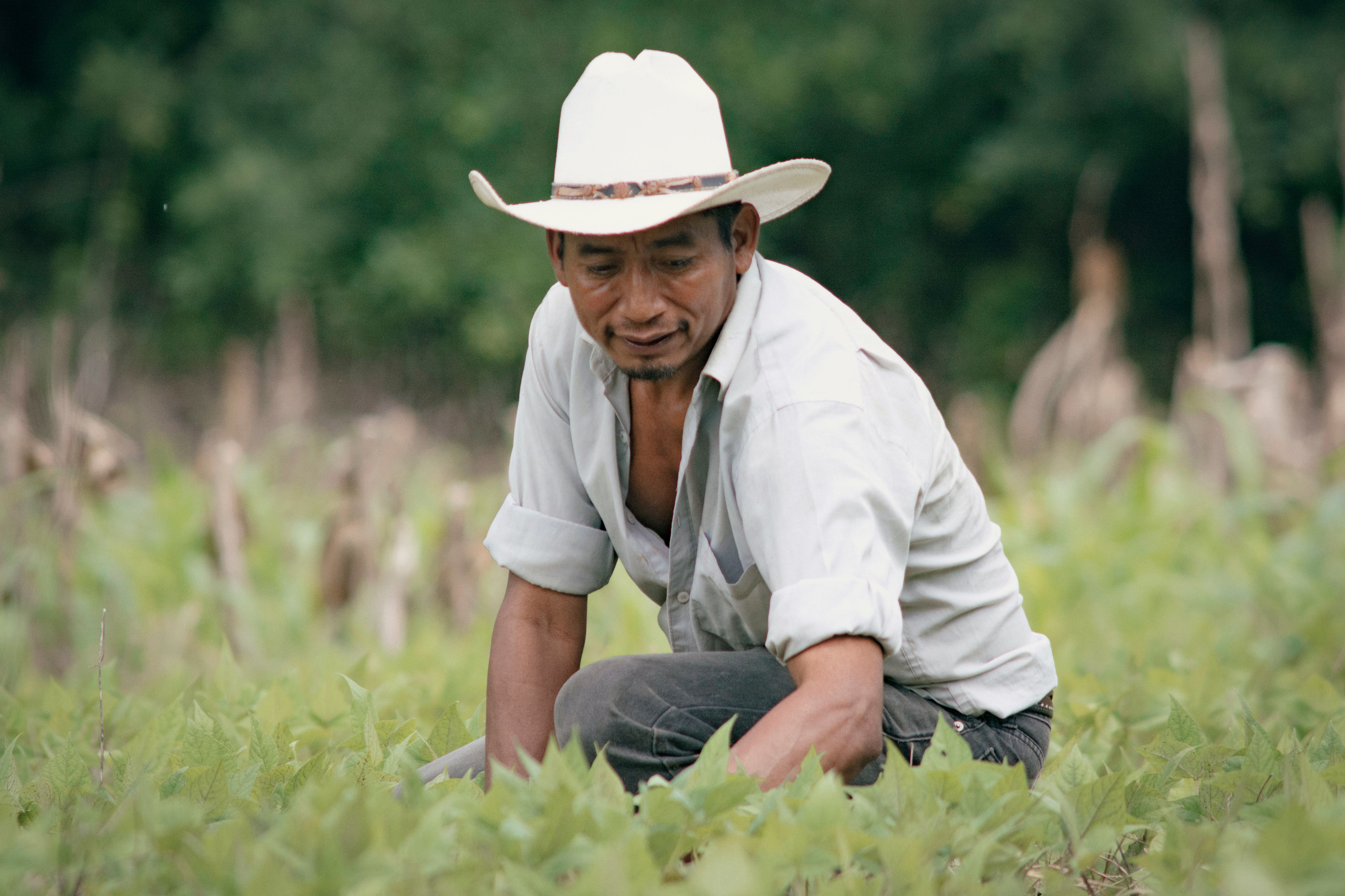 Arkansas ranks last for Hispanic health care access, quality — Photo by walter Cordero on Pexels