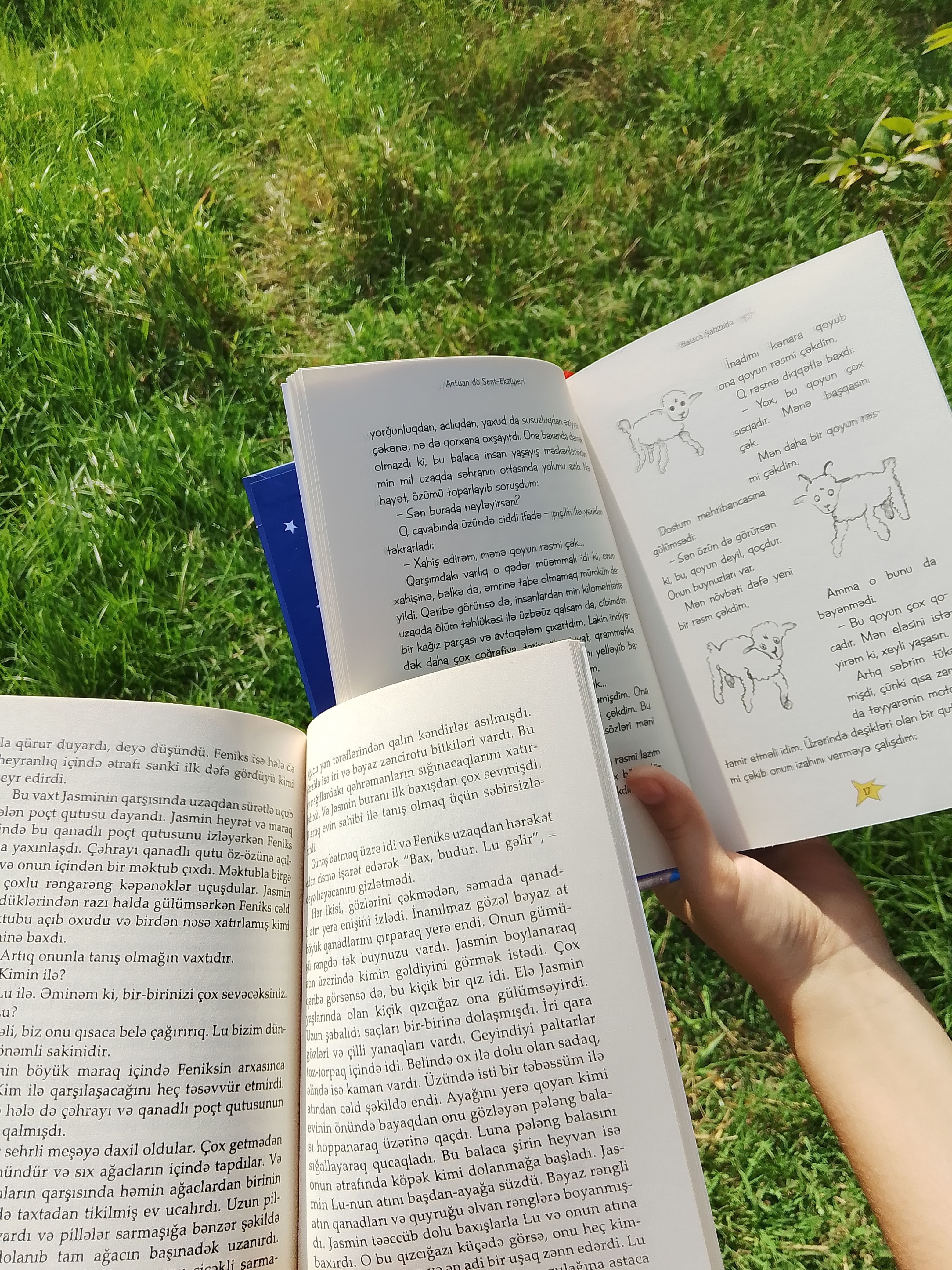 Enjoying books in the sunshine with illustrations in an outdoor grassy area.