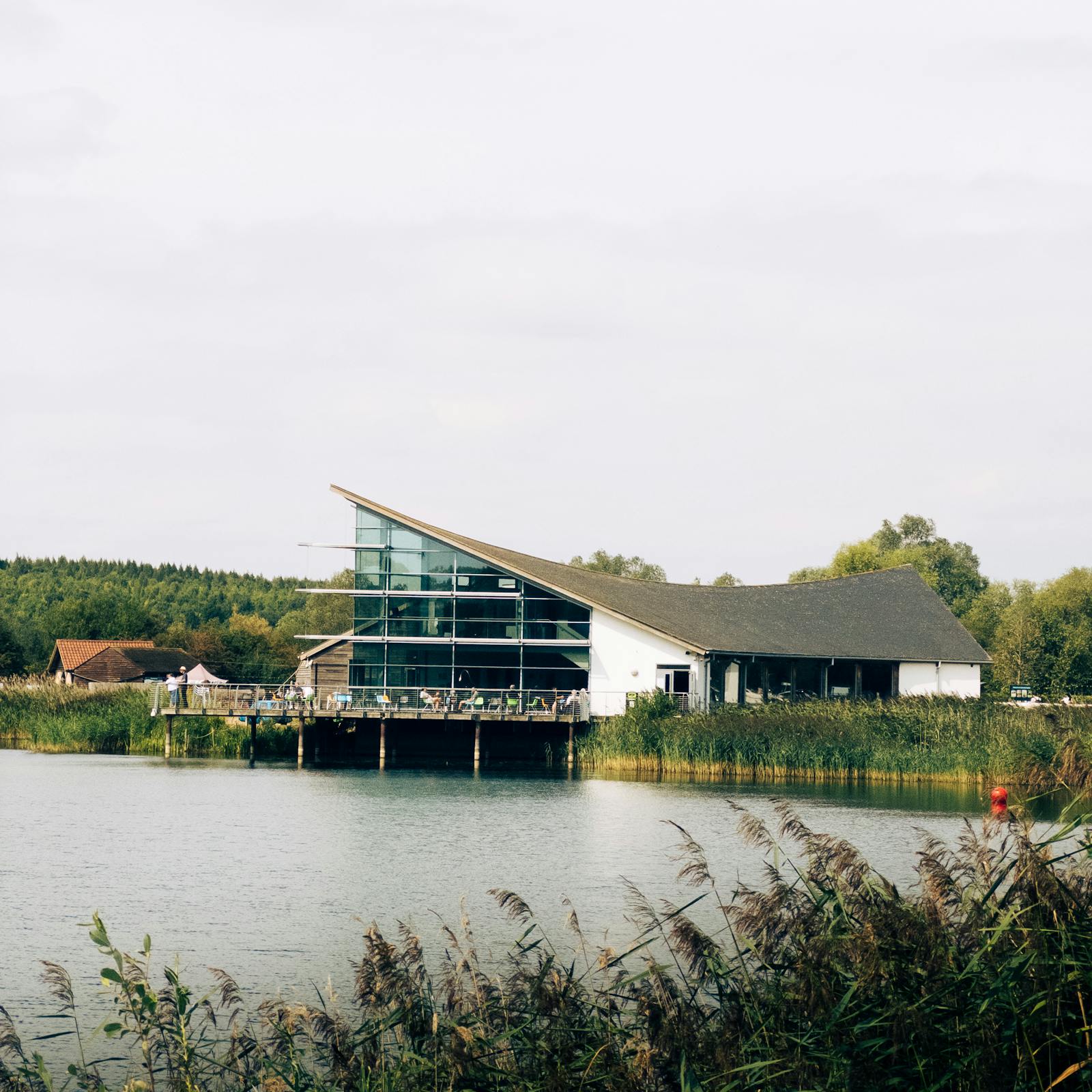 Walkout Lakefront House