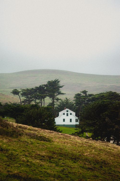 Free A solitary house amidst fog-covered hills and trees near San Francisco, California. Stock Photo