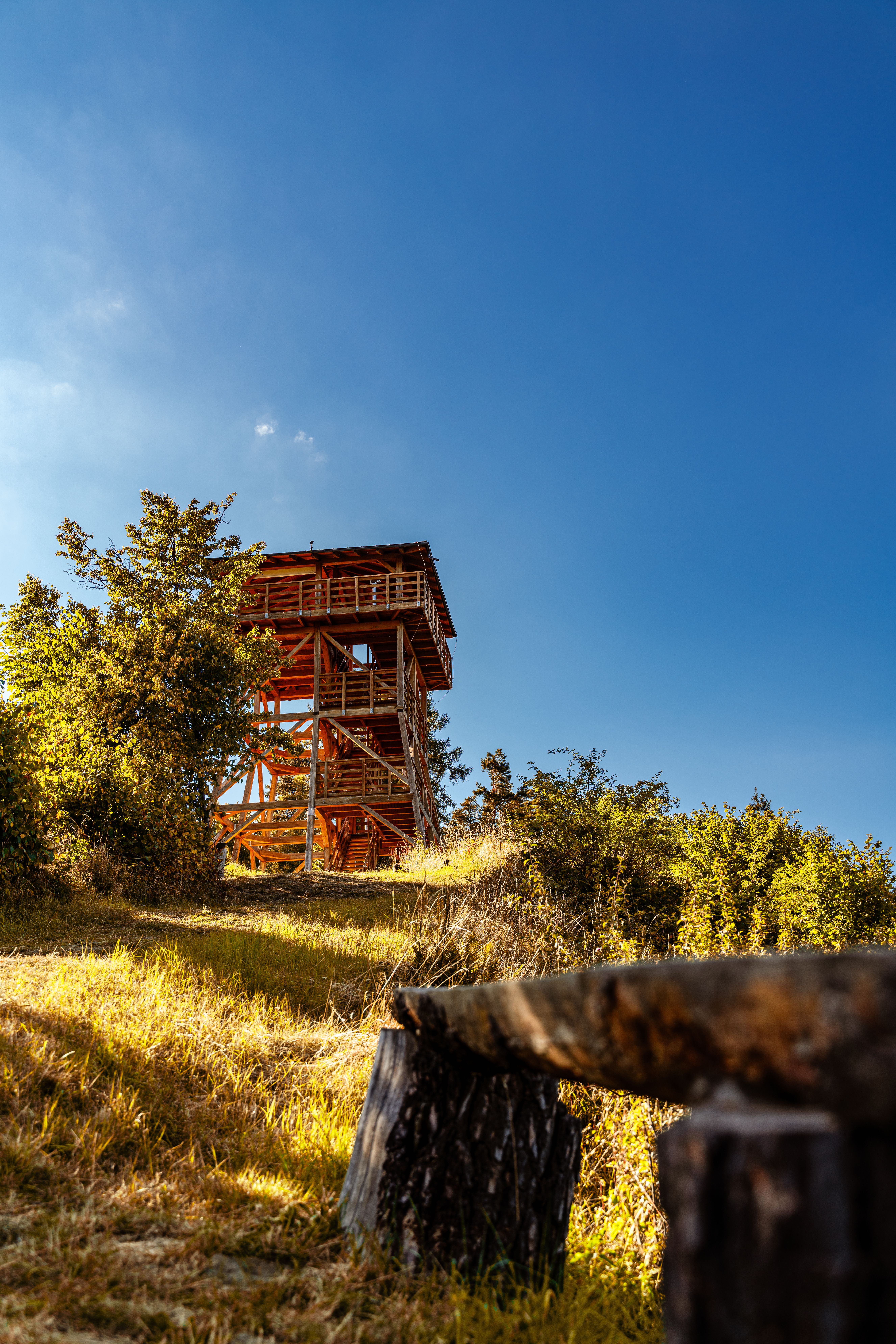 Wooden Observation Tower in Lush Forest Landscape · Free Stock Photo