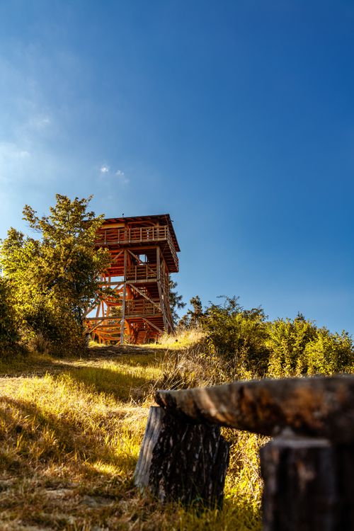 Free Capture of a scenic wooden observation tower surrounded by a vibrant forest in Lipany, Slovakia. Stock Photo