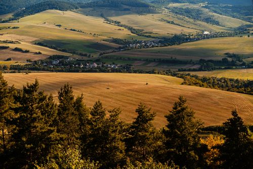 Free Stunning view of golden fields and forests in Lipany, Slovakia, under bright sunlight. Stock Photo