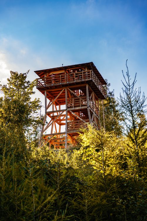 Free Explore the serene beauty of a wooden observation tower amidst lush greenery in Lipany, Slovakia. Stock Photo