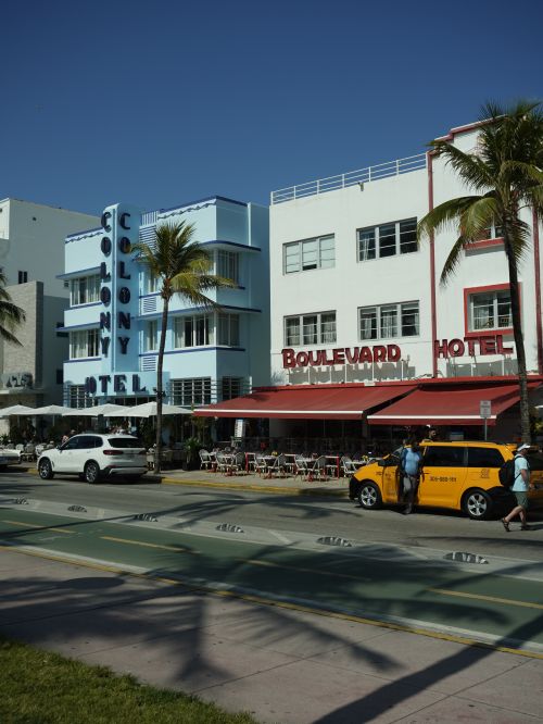 Miami Bulvard Vibrant Day at Iconic Miami Beach Boulevard · Free Stock Photo