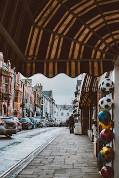 舒适的城市街道上，商店坐落在条纹树冠下，装饰充满活力