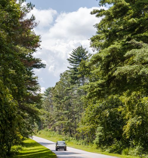 Free A peaceful drive through a lush green forest under a bright blue sky, ideal for nature enthusiasts. Stock Photo
