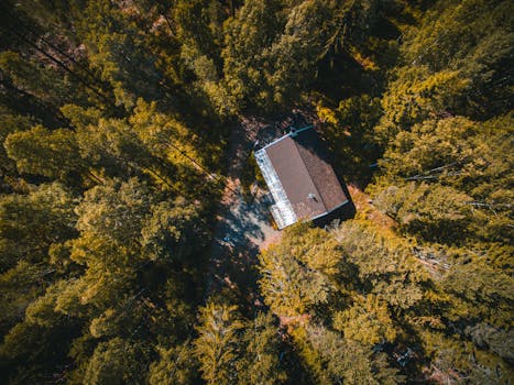 Drone shot capturing a serene forest landscape with a solitary house nestled amongst trees.