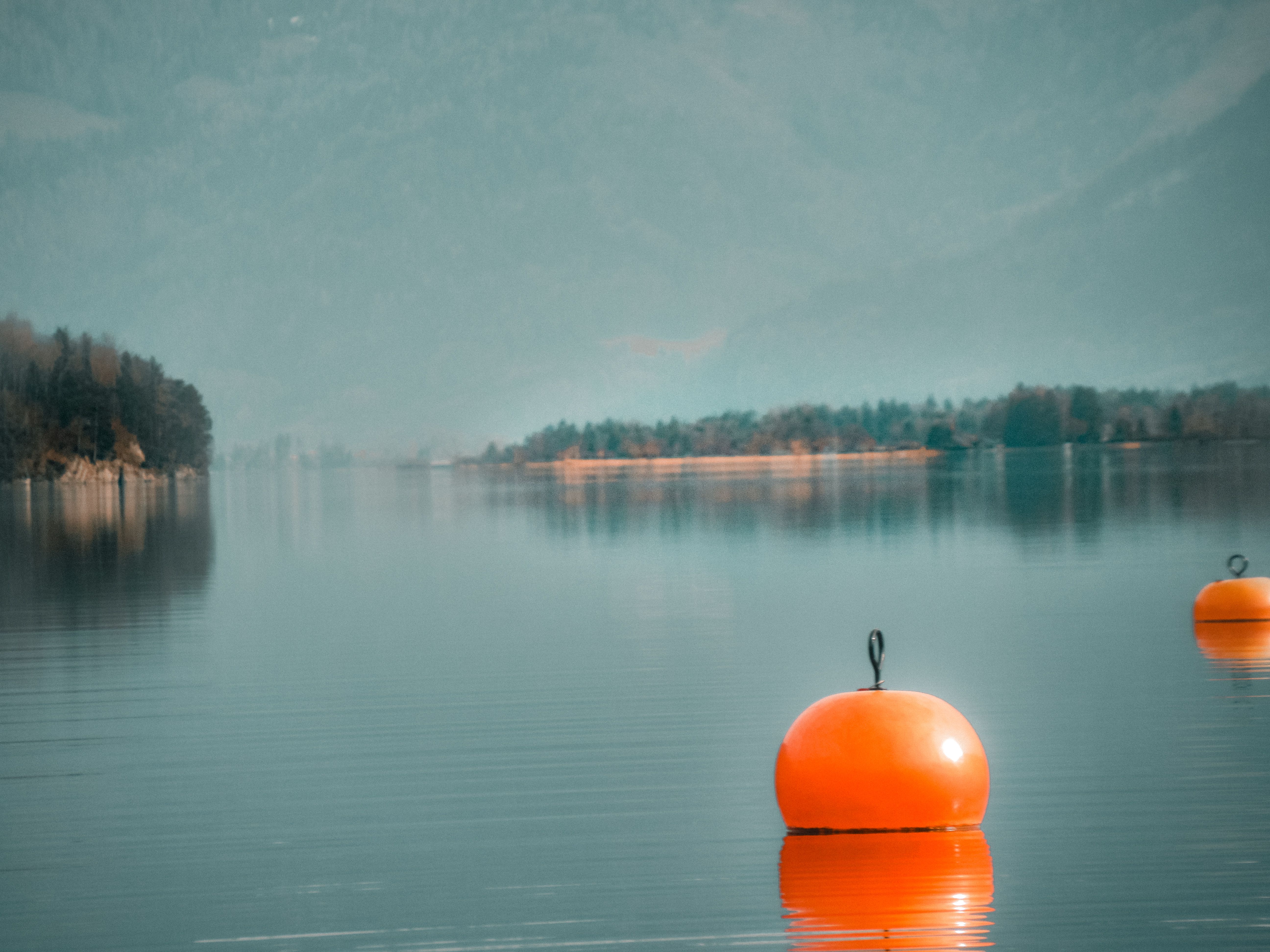 Calm lake scene with orange buoys against a scenic forested backdrop on a misty day.