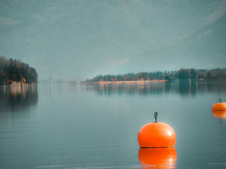 Calm lake scene with orange buoys against a scenic forested backdrop on a misty day.