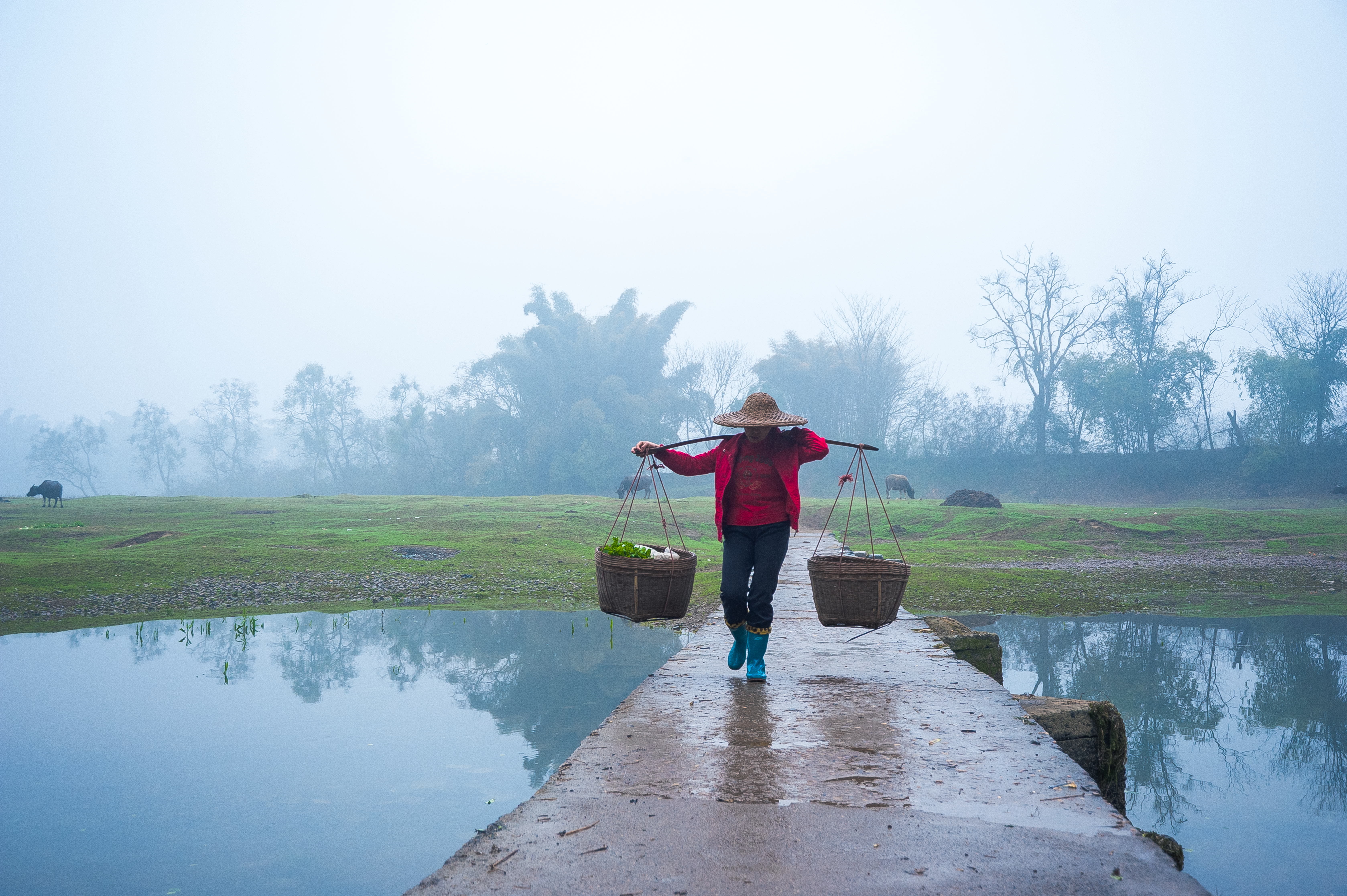 A farmer walks on a path with baskets in misty Guilin, Guangxi, China.