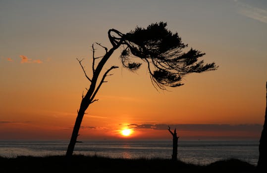 Port Douglas, Australia photo 13