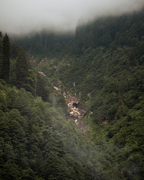 Quiet path through a misty green forest — Emre Simsek on Pexels