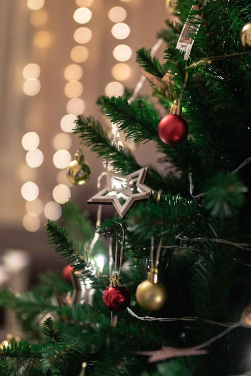 Selective Focus Photo of Christmas Tree