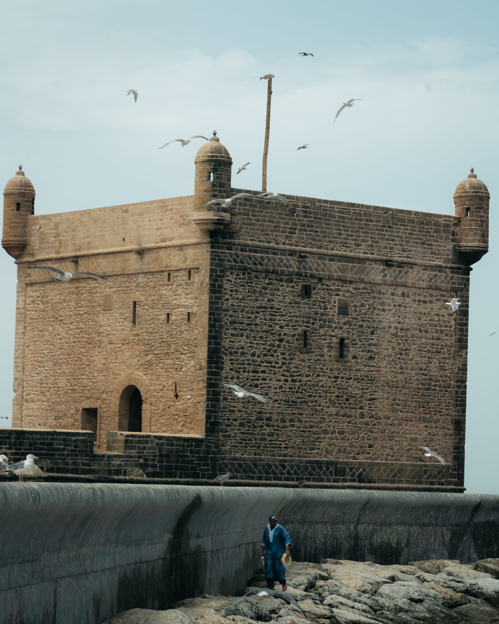 Historic Essaouira fort with seagulls flying over the ramparts