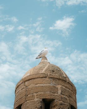 A seagull perched atop a stone tower against a vibrant blue sky, exuding a sense of freedom.