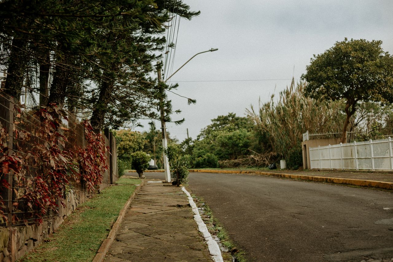 a serene suburban street lined with trees and fences on a cloudy day e